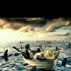 Meet your Posher, Steven